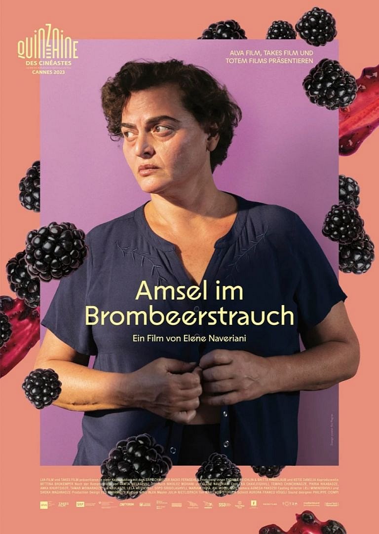 Filmplakat des Films (Leinwand Europa) Amsel im Brombeerstrauch