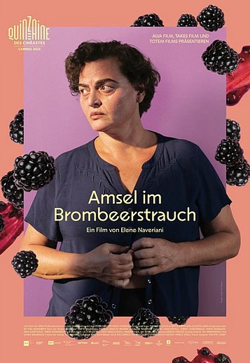 Filmplakat des Films (Leinwand Europa) Amsel im Brombeerstrauch