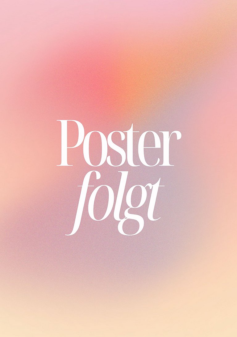 Filmplakat des Films Der Regenmeister