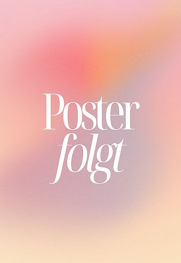Filmplakat des Films Der Regenmeister